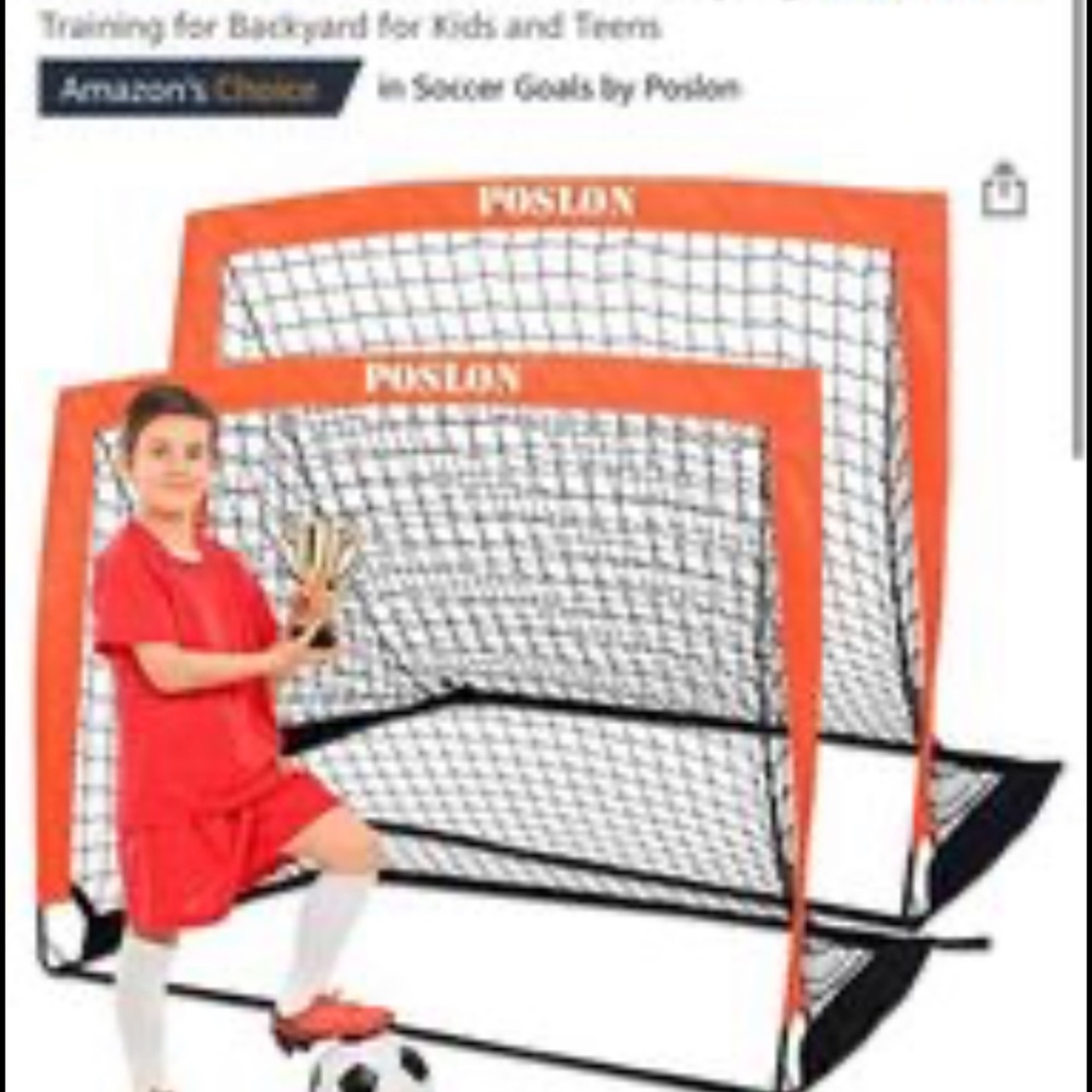 2 Soccer Nets & 24 Cones